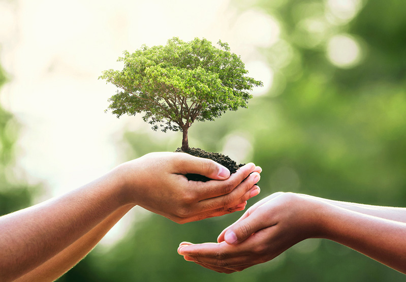 918.COM(中国区)官方网站承诺